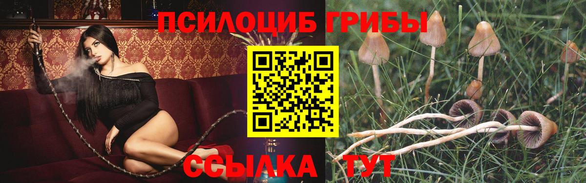 Галлюциногенные грибы Cubensis  Галлюциногенные грибы MAGIC MUSHROOMS  Чебоксары  Вход с VPN 